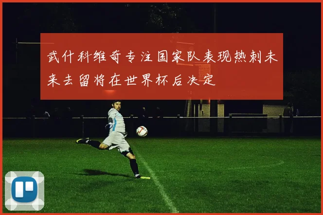 武什科维奇专注国家队表现热刺未来去留将在世界杯后决定